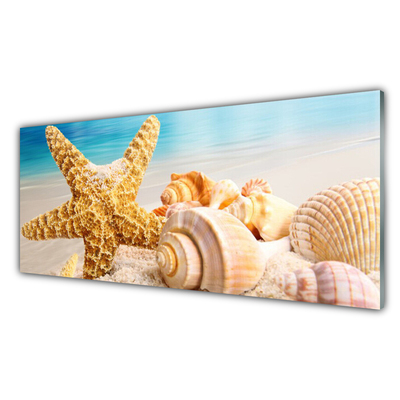 Kitchen Splashback Starfish shells art yellow white