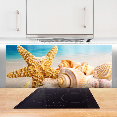 Kitchen Splashback Starfish shells art yellow white