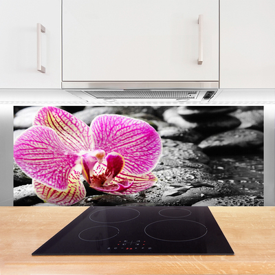 Kitchen Splashback Flower stones floral pink black