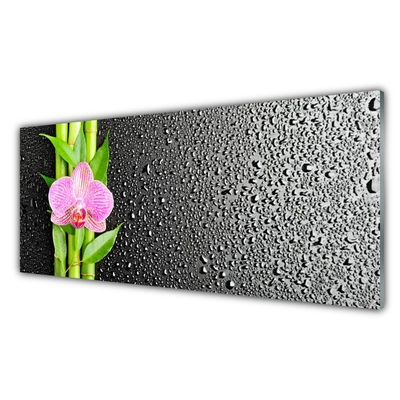 Kitchen Splashback Bamboo stalk flower floral pink green