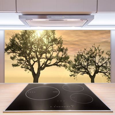 Kitchen Splashback Trees nature brown green