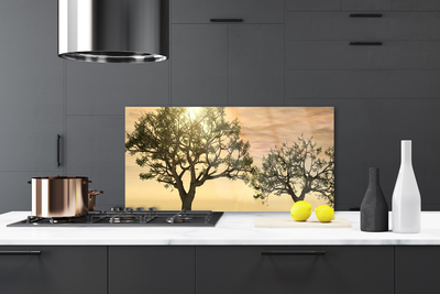 Kitchen Splashback Trees nature brown green