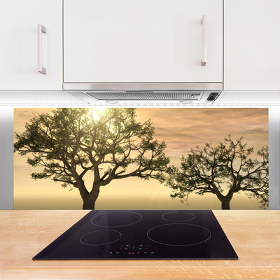 Kitchen Splashback Trees nature brown green