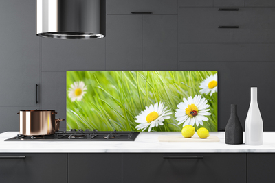 Kitchen Splashback Grass daisies nature white green