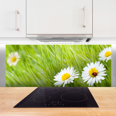 Kitchen Splashback Grass daisies nature white green