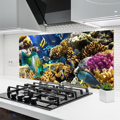 Kitchen Splashback Coral reef nature multi