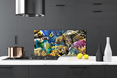 Kitchen Splashback Coral reef nature multi