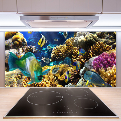 Kitchen Splashback Coral reef nature multi