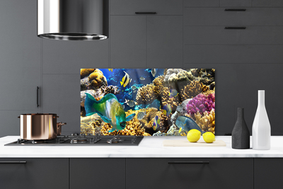 Kitchen Splashback Coral reef nature multi