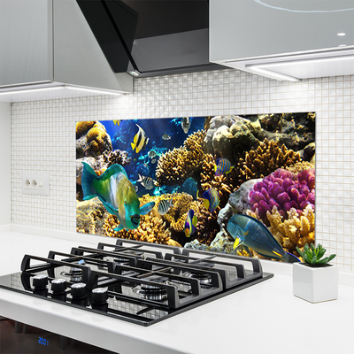 Kitchen Splashback Coral reef nature multi