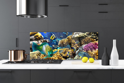 Kitchen Splashback Coral reef nature multi