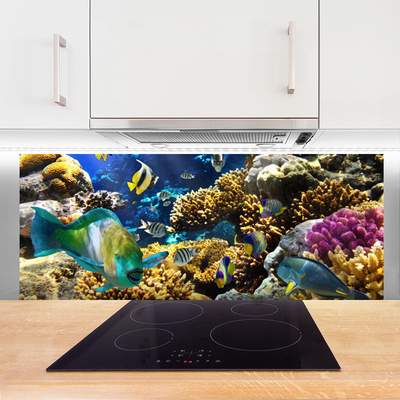 Kitchen Splashback Coral reef nature multi