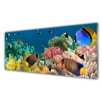 Kitchen Splashback Coral reef nature multi