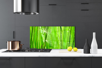 Kitchen Splashback Grass floral green