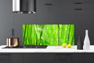 Kitchen Splashback Grass floral green