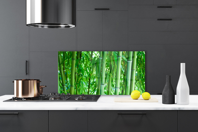 Kitchen Splashback Bamboo stalk floral green