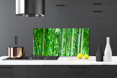 Kitchen Splashback Bamboo stalk floral green