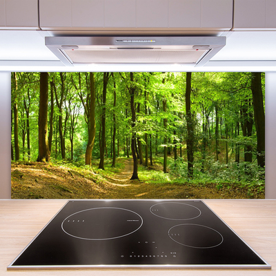 Kitchen Splashback Forest nature brown green