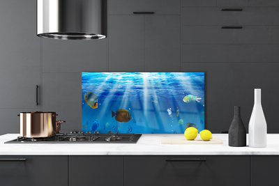 Kitchen Splashback Fish nature blue yellow