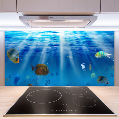 Kitchen Splashback Fish nature blue yellow