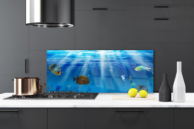 Kitchen Splashback Fish nature blue yellow