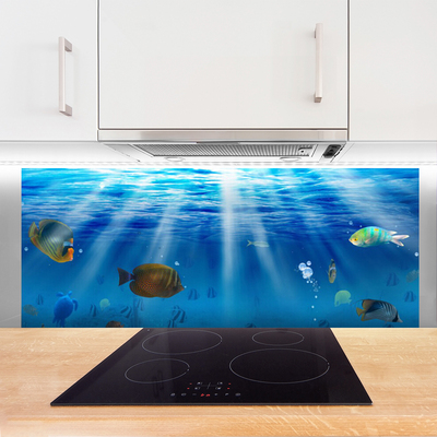 Kitchen Splashback Fish nature blue yellow