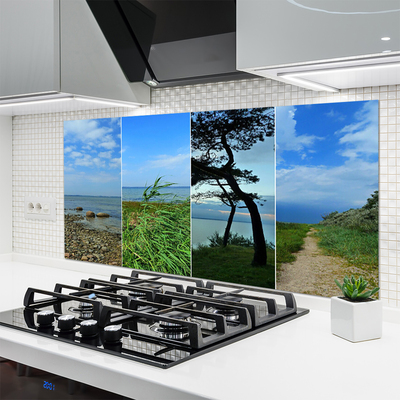 Kitchen Splashback Beach tree footpath landscape green brown black