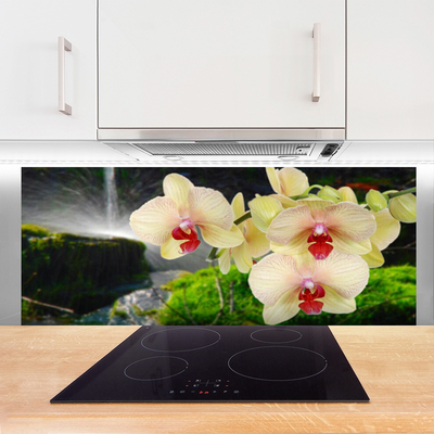 Kitchen Splashback Trees floral white red