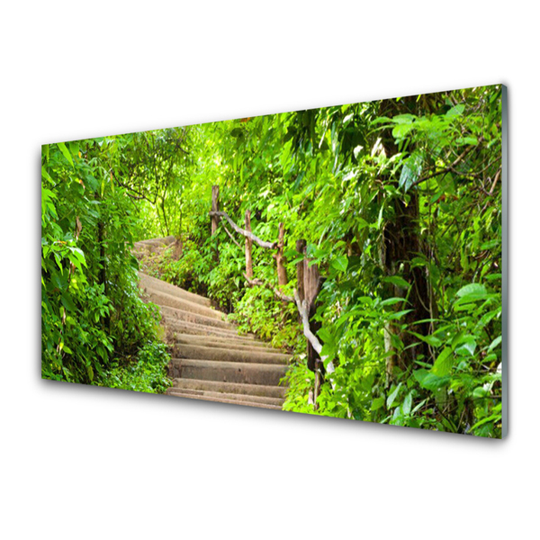 Kitchen Splashback Stairs nature brown green