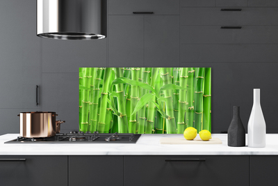 Kitchen Splashback Bamboo stalk floral green