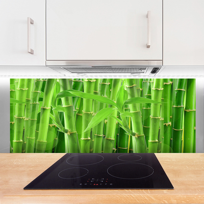 Kitchen Splashback Bamboo stalk floral green