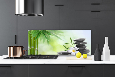 Kitchen Splashback Bamboo stalk flower stones art green white black