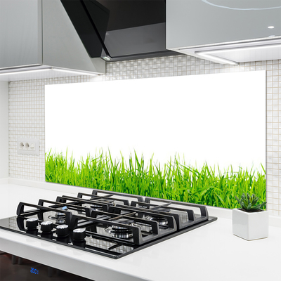 Kitchen Splashback Grass nature green