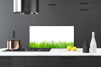 Kitchen Splashback Grass nature green