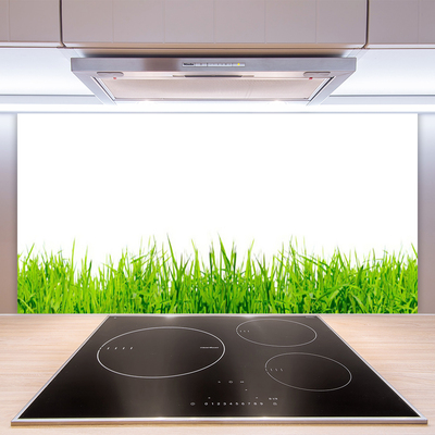 Kitchen Splashback Grass nature green