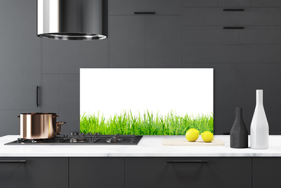 Kitchen Splashback Grass nature green