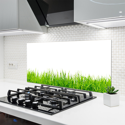 Kitchen Splashback Grass nature green