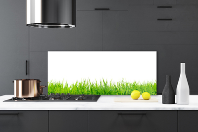 Kitchen Splashback Grass nature green