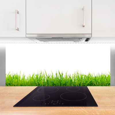 Kitchen Splashback Grass nature green