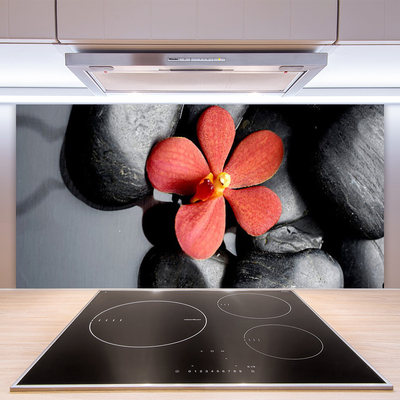 Kitchen Splashback Flower stones art red grey