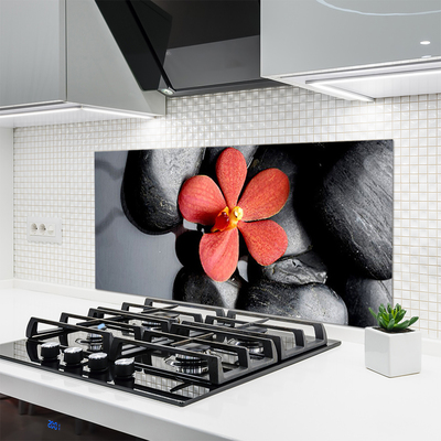 Kitchen Splashback Flower stones art red grey