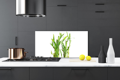 Kitchen Splashback Bamboo stalks floral green