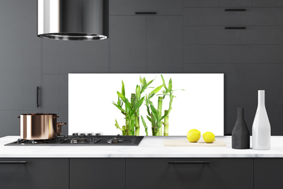 Kitchen Splashback Bamboo stalks floral green