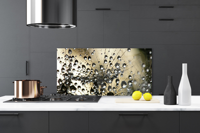 Kitchen Splashback Dandelion floral grey