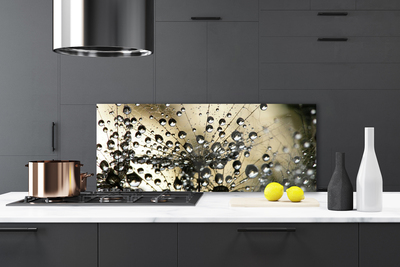 Kitchen Splashback Dandelion floral grey