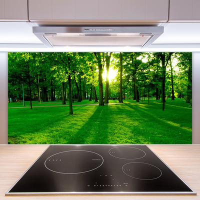 Kitchen Splashback Forest nature brown green