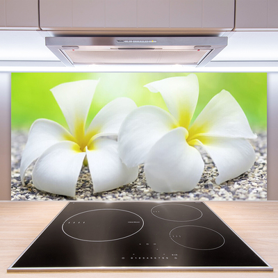 Kitchen Splashback Flowers floral white