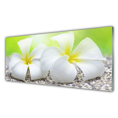 Kitchen Splashback Flowers floral white