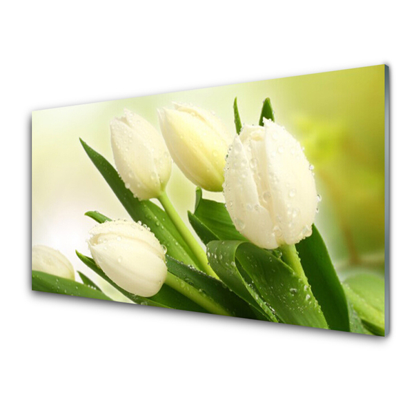 Kitchen Splashback Tulips floral white green