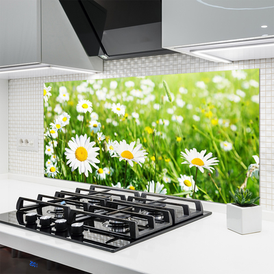 Kitchen Splashback Daisy floral white yellow green